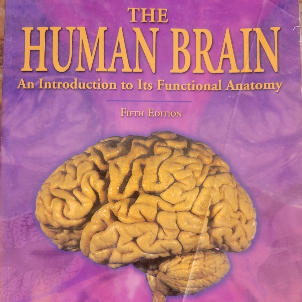 The Human Brain Book John Nolte